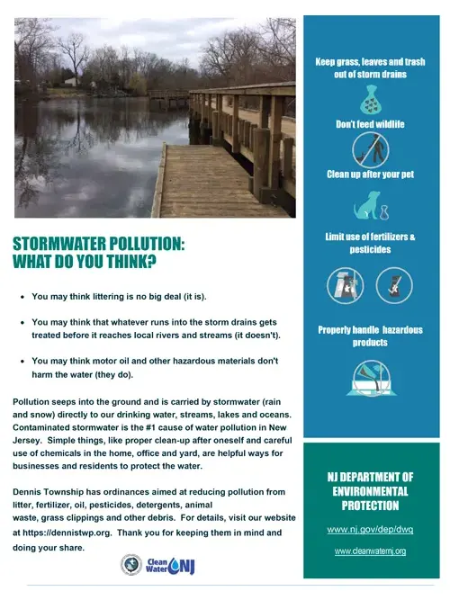 stormwater pollution brochure